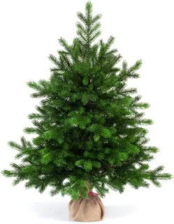 Kunstkerstboom 65 cm