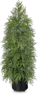 Kunstkerstboom Ceder 90 cm op pot