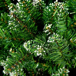 Kunstkerstboom Edele Spar 240 cm