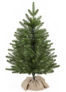 Kleine kerstboom, grootse feestsfeer: Springos Kaukasische spar 60 cm