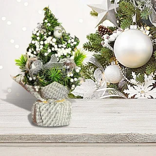 Kunstkerstboom mini 20 cm - set van 2 - zilver