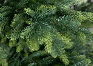 Kunstkerstboom Noorse spar 220 cm