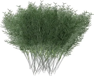 Kunstmatige Dennentakken - 30 stuks - Groen