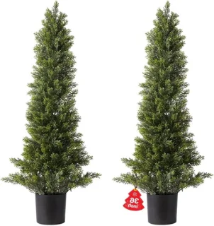 Kunstmatige vormsnoei dennenstruik