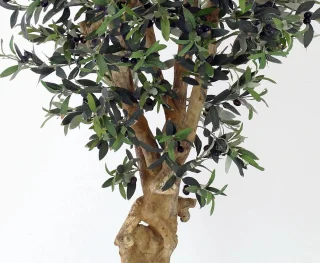 Wat vinden we goed aan de Kunstolijfboom 175 cm