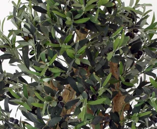 Wat vinden we minder goed