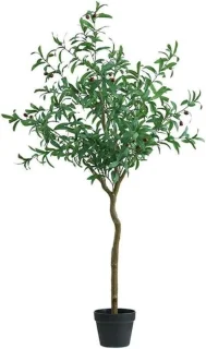 Kunstolijfboom