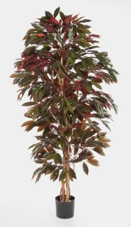 Kunstplant Croton - 150 cm - groen rood