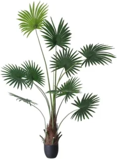 Kunstplant nepboom