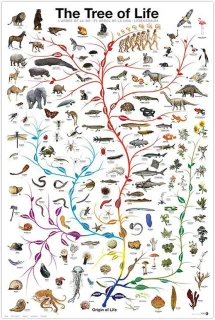 Kunstprint Tree of Life 24 x 36 inch