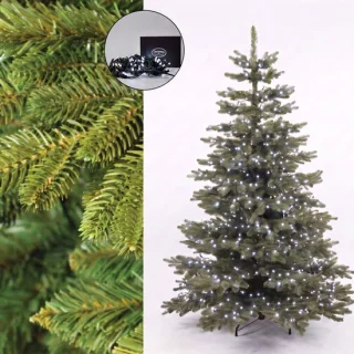 Levensechte Nordmann kerstboom 180 cm Christmas1967