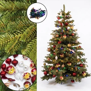 Levensechte Nordmann kerstboom 180 cm - Christmas1967