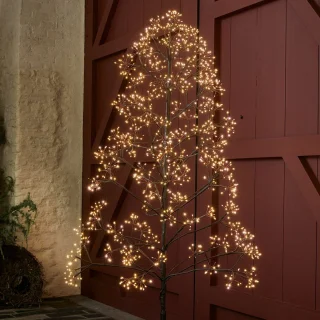 LOBERON Brúnvek LED-boom zwart