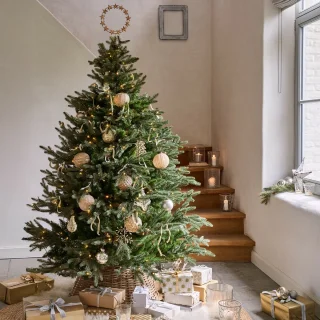 LOBERON Franck kerstboom