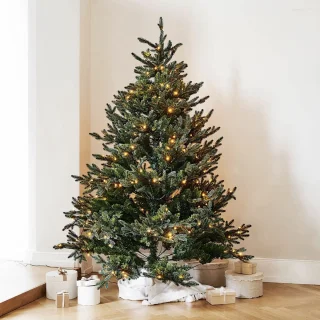 LOBERON Franck kerstboom