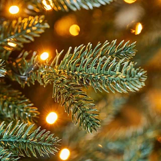 LOBERON Franck kerstboom