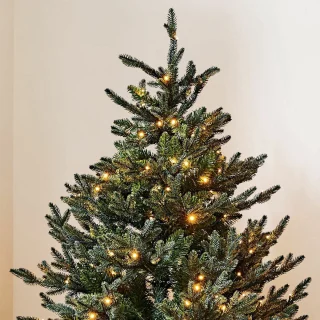 LOBERON Franck kerstboom