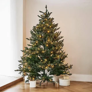 LOBERON Franck kerstboom