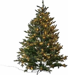LOBERON Franck kerstboom