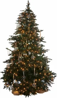 LOBERON Kerstboom Celindor