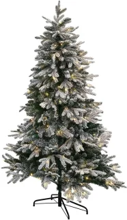 LOBERON Kerstboom Norila