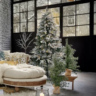 LOBERON Kerstboom Norila