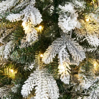 LOBERON Kerstboom Norila