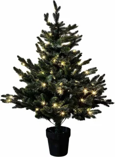 LOBERON Mantilly Sierboom groen