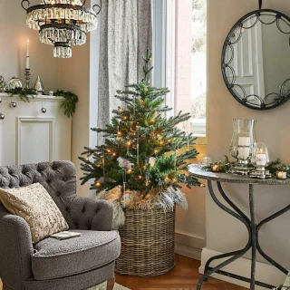 LOBERON Mantilly Sierboom groen