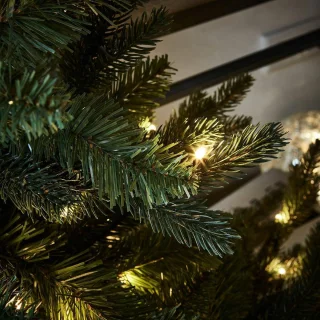 LOBERON Mantilly Sierboom groen
