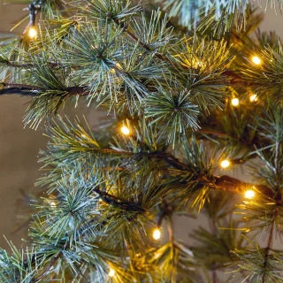 LOBERON Sapi kerstboom groen