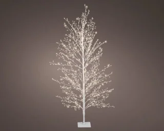 Lumineo - verlichte boom