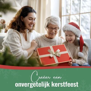 Meisterhome 210 cm kunstkerstboom met sneeuw en standaard