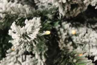 Wat vinden we minder goed