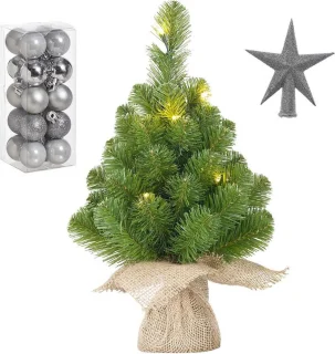 Mini kerstboom 45 cm LED zilver 21-delig