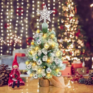 Mini Kunstkerstboom 40 cm Zilver
