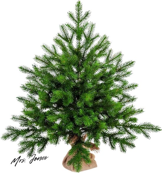 Mrs. Jones EveXmas Altair Kunstkerstboom 65 cm Groen