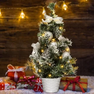 Mrs. Jones Mini Kerstboom Kunstkerstboom 40 cm Zilver