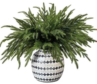 Nepdennentakken 48 cm groen