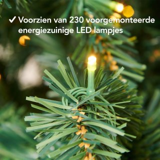 Conclusie