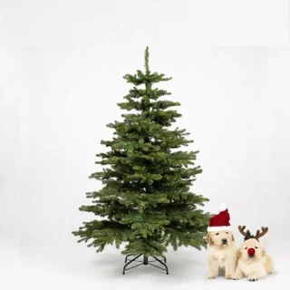 Nordmann kerstboom 150 cm - Christmas1967