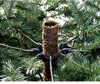 Nordmann Spar Kerstboom 180 cm