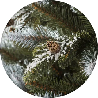 Novatom - Kerstboom Besneeuwde Spar 220 cm (PVC/PE)