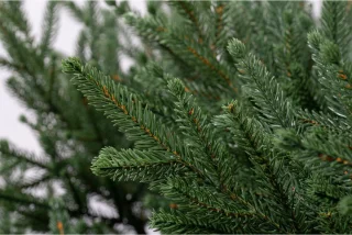 Novatom Kunstkerstboom Spar 250 cm