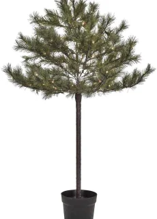 Peuce Kerstboom Natuur 150cm