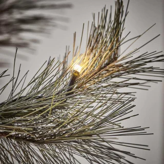 Peuce Kerstboom Natuur 150cm