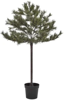 Peuce Kerstboom Natuur 150cm