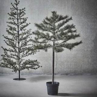 Peuce Kerstboom Natuur 150cm