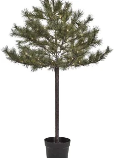 Peuce Kerstboom Natuur 150cm