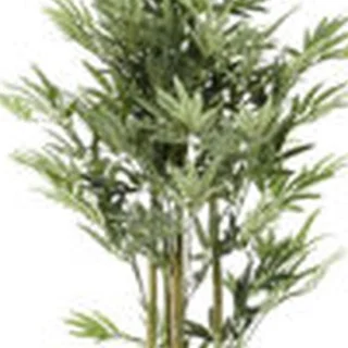 PLC Plant